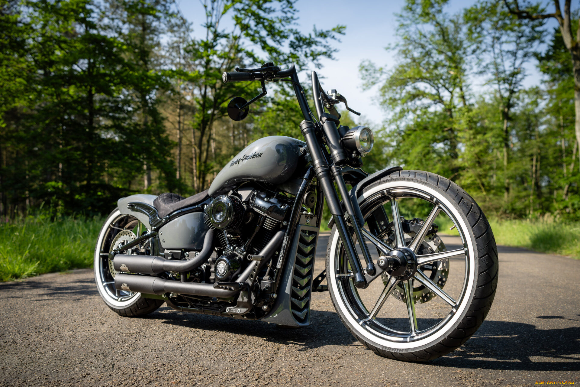, harley-davidson, softail, street, bob, radical, rider, customized, custombikes